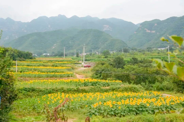 ΢��ͼƬ_2026-03-13_161121_045 (2).jpg